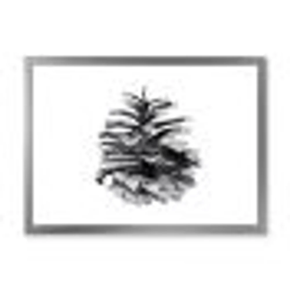 Toile « Conifer Cone Monochrome