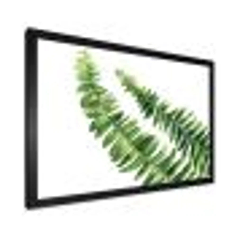 Fern Leaves Detail I  Wall Art