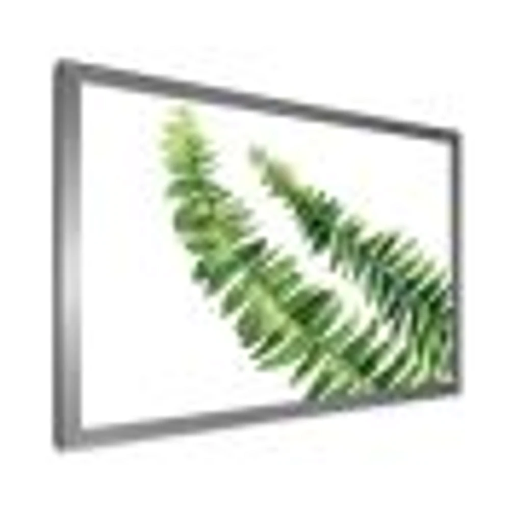 Toile « Fern Leaves Detail I