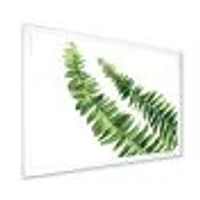 Toile « Fern Leaves Detail I