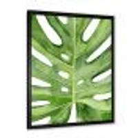 Toile « Green Monstera Leaf Tropical Palm Botanical Detail »