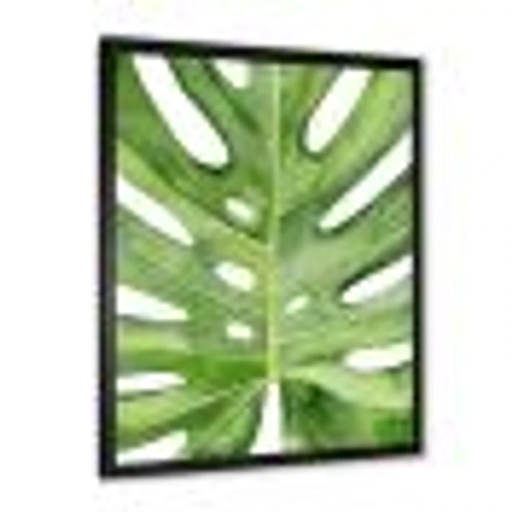 Toile « Green Monstera Leaf Tropical Palm Botanical Detail »