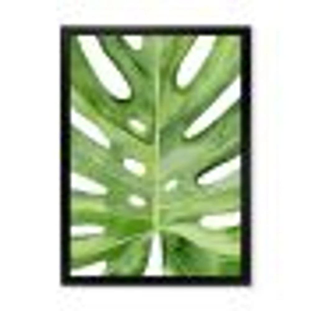 Toile « Green Monstera Leaf Tropical Palm Botanical Detail »