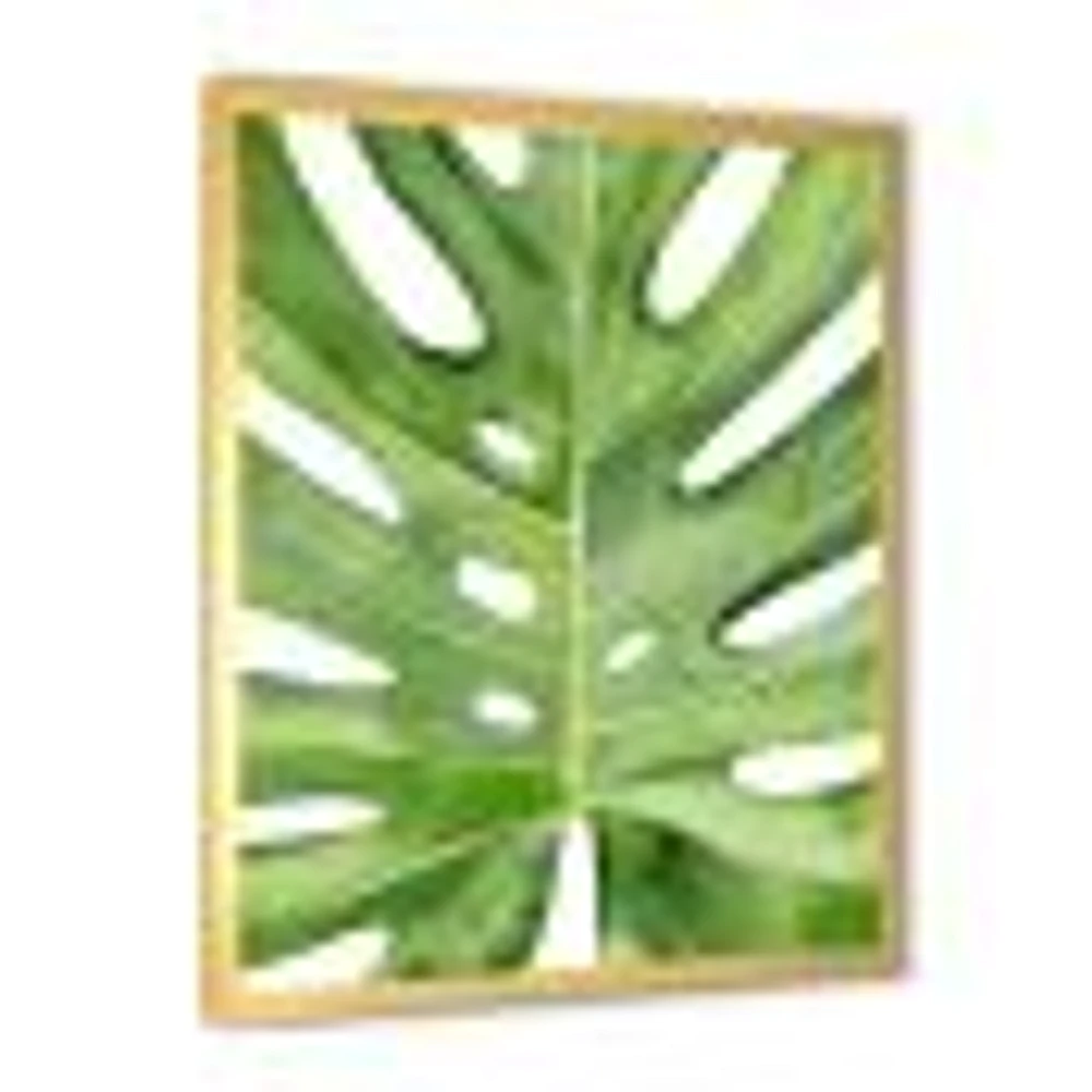 Toile « Green Monstera Leaf Tropical Palm Botanical Detail »