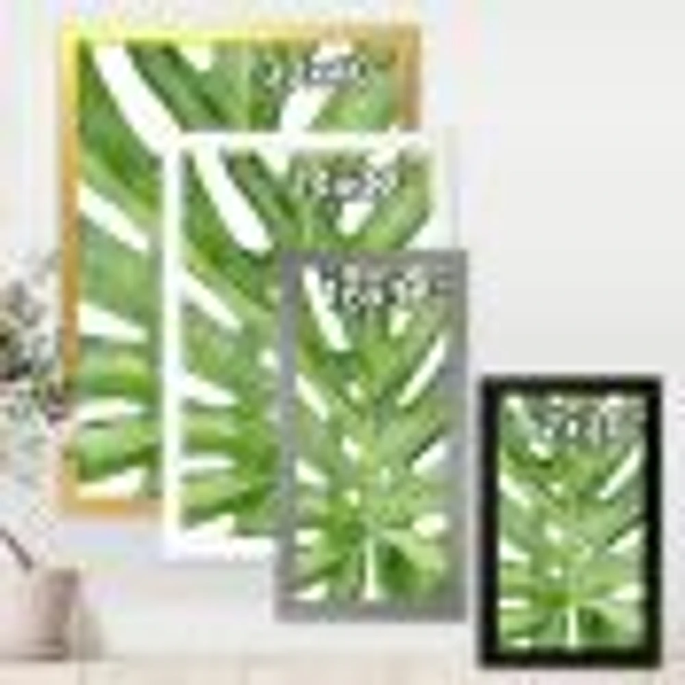 Toile « Green Monstera Leaf Tropical Palm Botanical Detail »