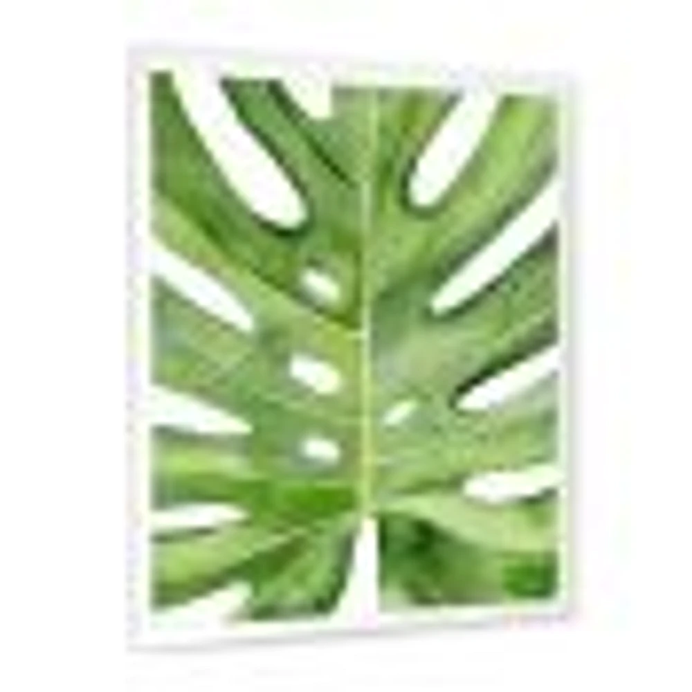 Toile « Green Monstera Leaf Tropical Palm Botanical Detail »