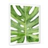 Toile « Green Monstera Leaf Tropical Palm Botanical Detail »