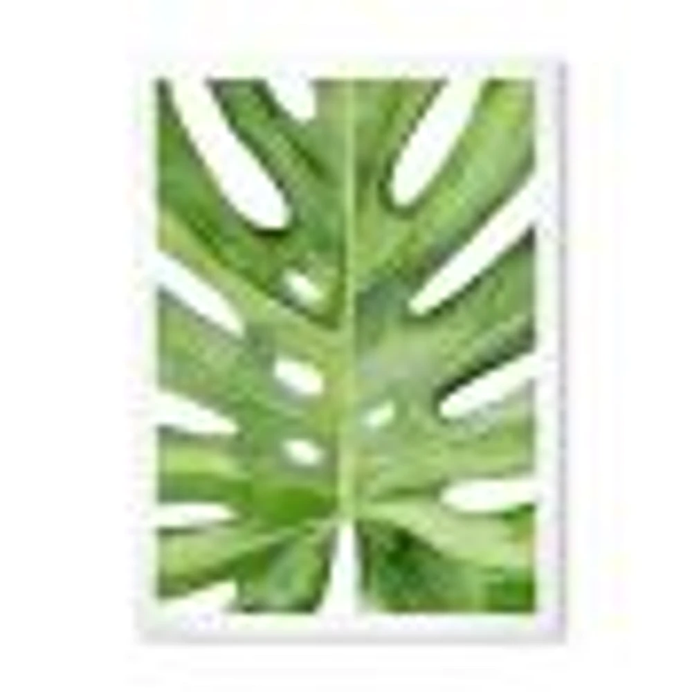 Toile « Green Monstera Leaf Tropical Palm Botanical Detail »