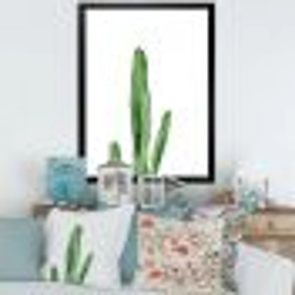 Toile « Green Cactus South Western Plant Botanical Detail »