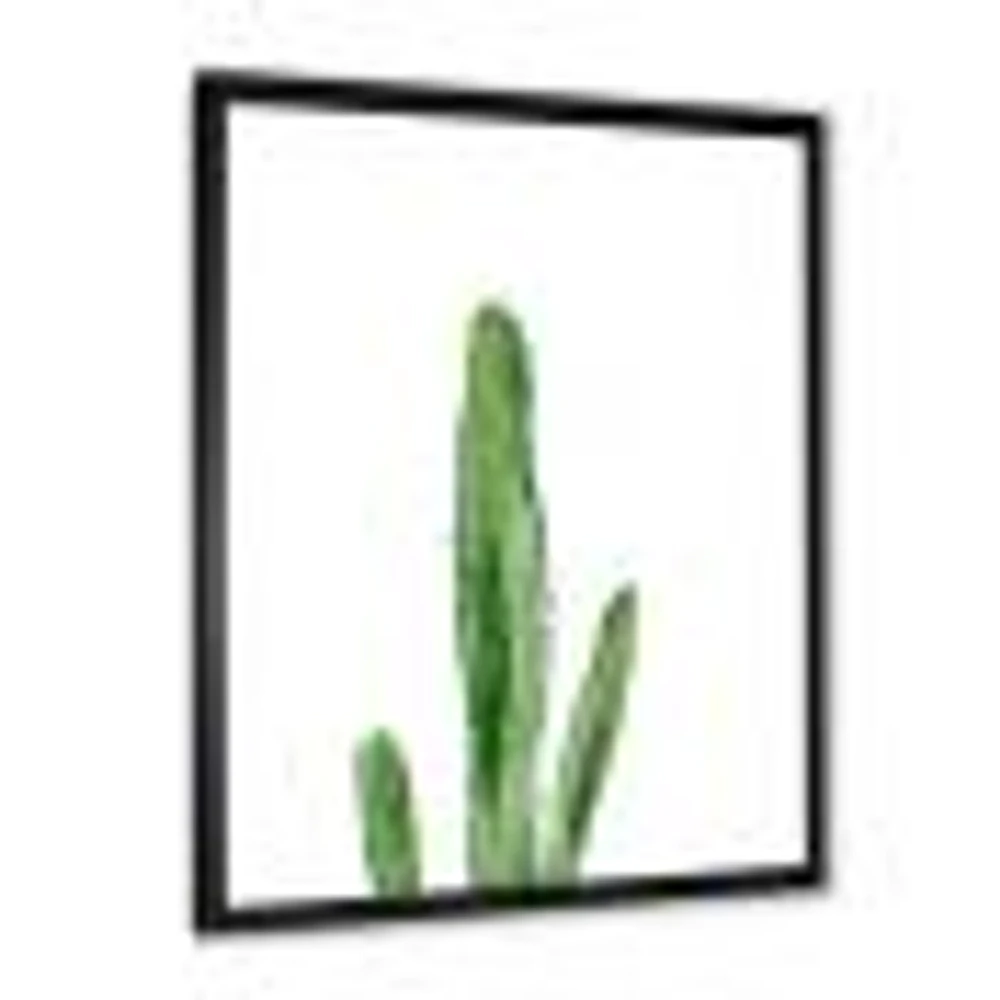 Toile « Green Cactus South Western Plant Botanical Detail »