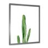 Toile « Green Cactus South Western Plant Botanical Detail »