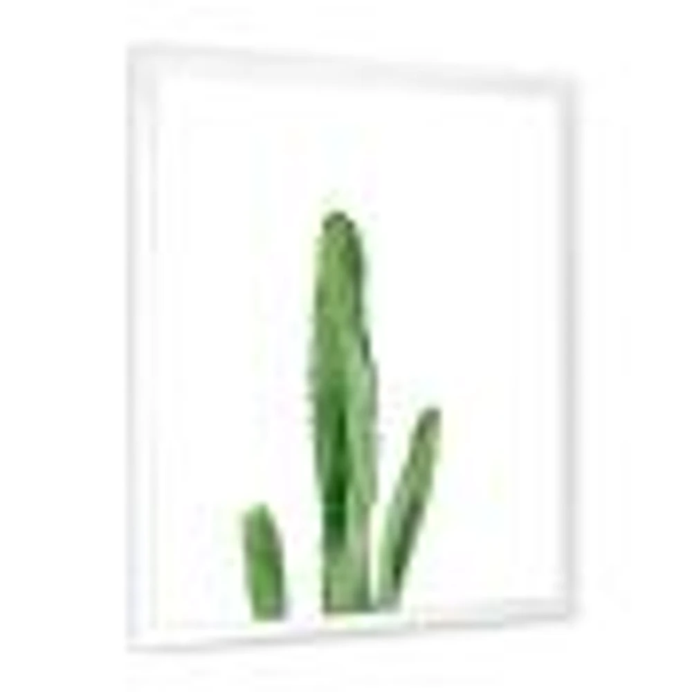 Toile « Green Cactus South Western Plant Botanical Detail »