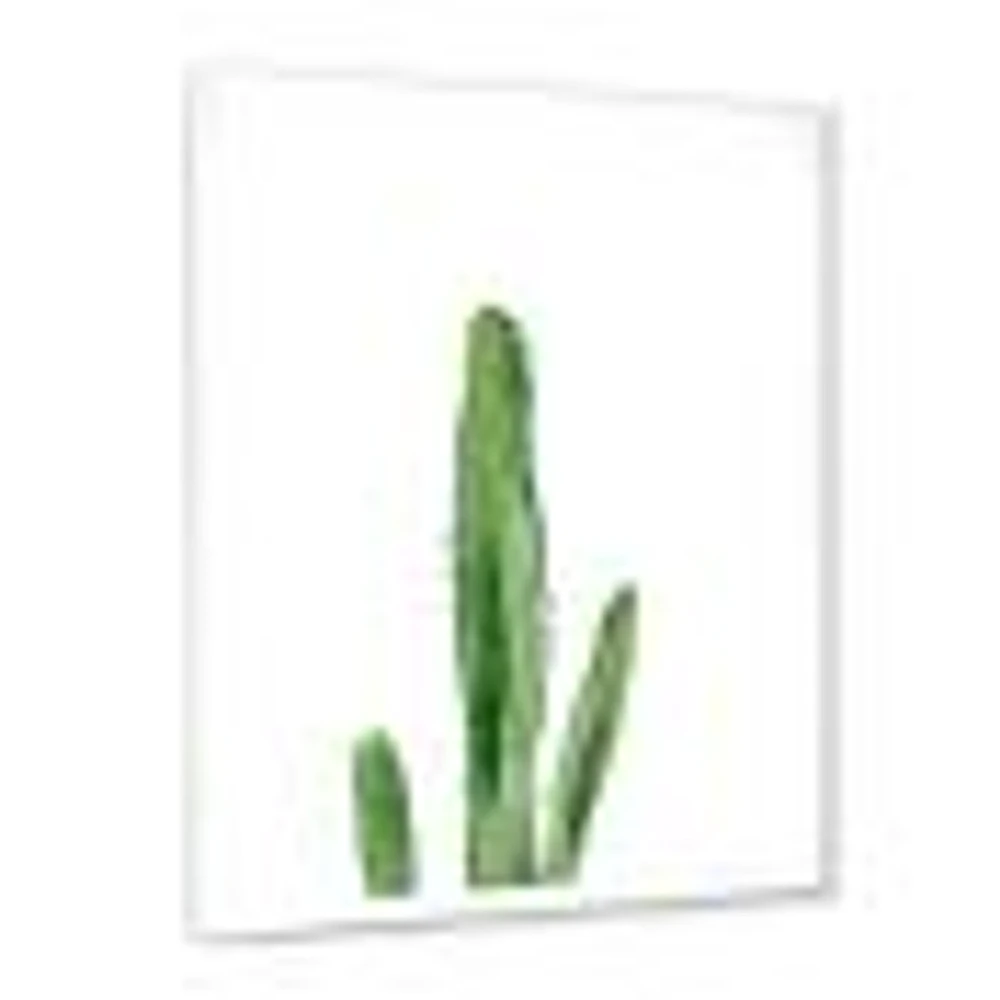 Toile « Green Cactus South Western Plant Botanical Detail »