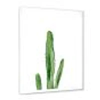 Toile « Green Cactus South Western Plant Botanical Detail »