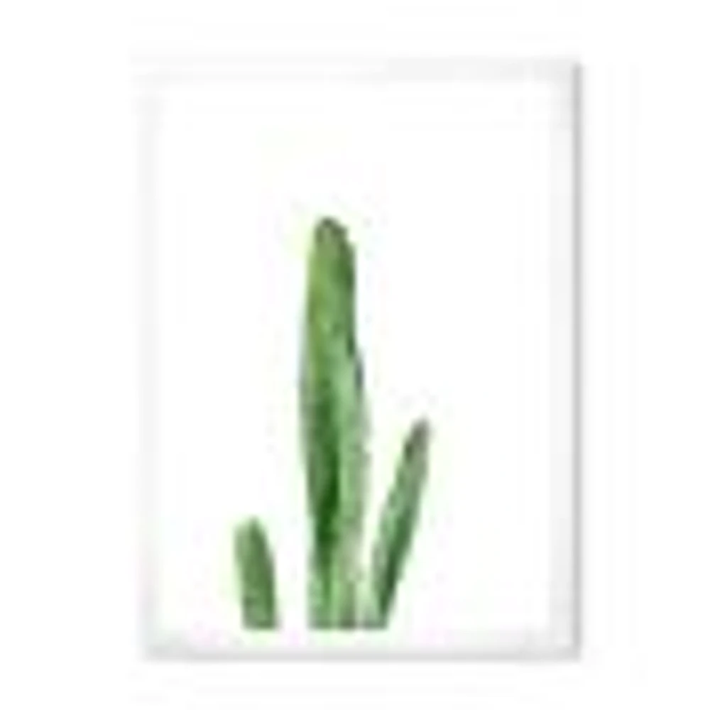 Toile « Green Cactus South Western Plant Botanical Detail »