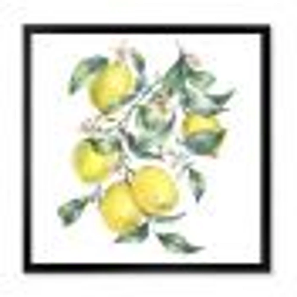 Branch of Yellow Lemons and Leaves I  Wall Art