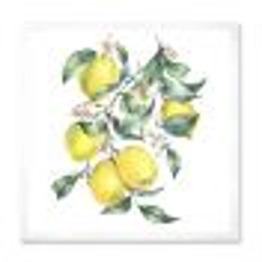 Toile « Branch of Yellow Lemons and Leaves I