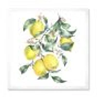 Branch of Yellow Lemons and Leaves I  Wall Art