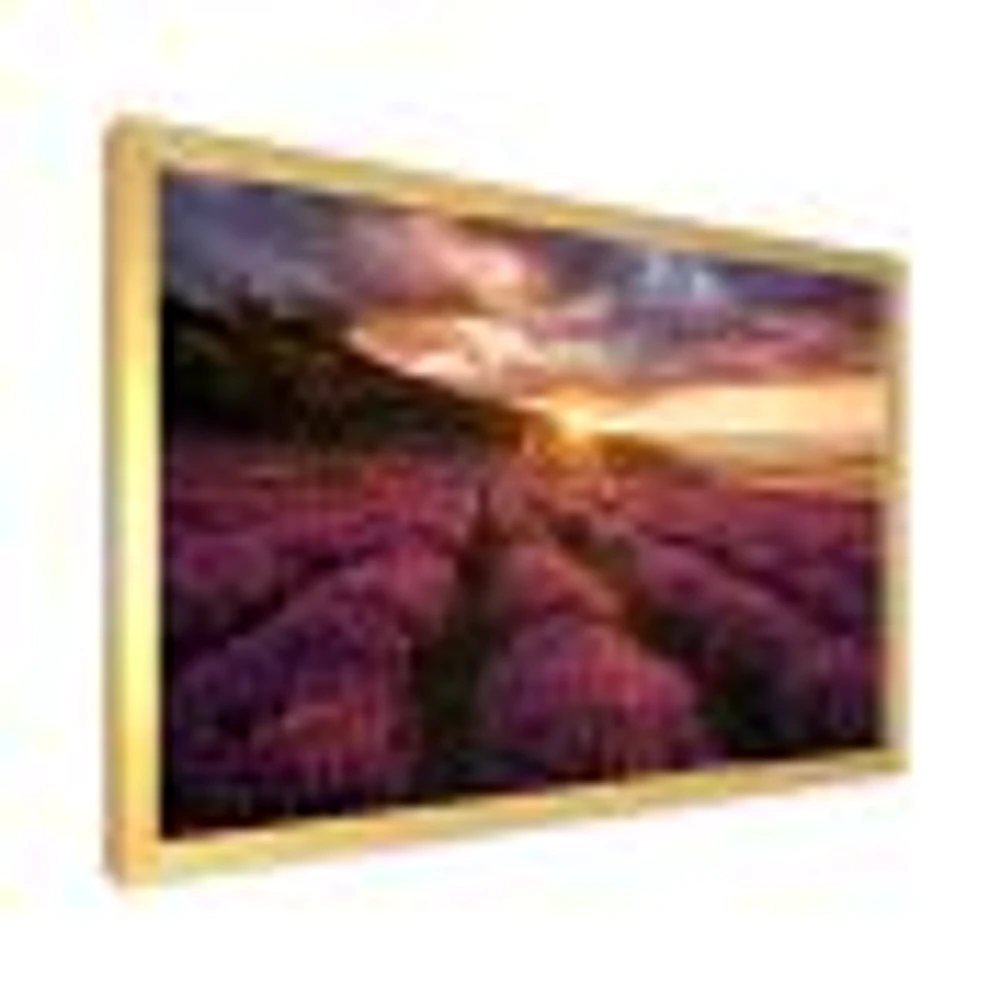 Sunrise & Dramatic Clouds Over Lavender Field IV  Wall Art