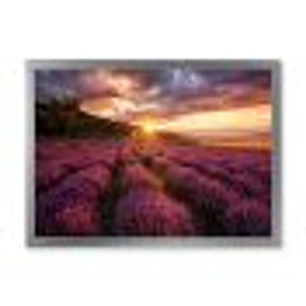 Sunrise & Dramatic Clouds Over Lavender Field IV  Wall Art