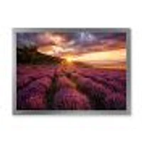 Toile « Sunrise & Dramatic Clouds Over Lavender Field IV