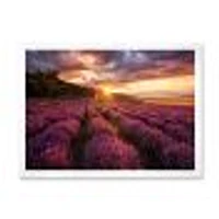 Sunrise & Dramatic Clouds Over Lavender Field IV  Wall Art