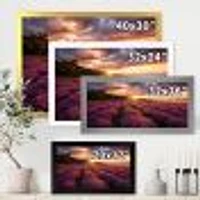 Sunrise & Dramatic Clouds Over Lavender Field IV  Wall Art