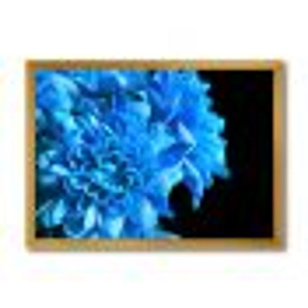 Detail of Blue Flowers on Black I  Wall Art