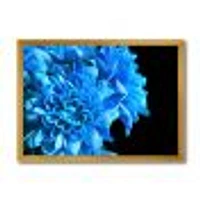 Detail of Blue Flowers on Black I  Wall Art