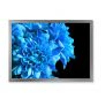 Detail of Blue Flowers on Black I  Wall Art