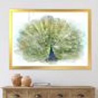 Peacock Bird  Wall Art