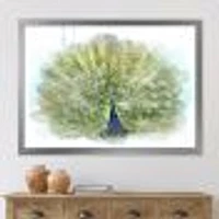 Peacock Bird  Wall Art