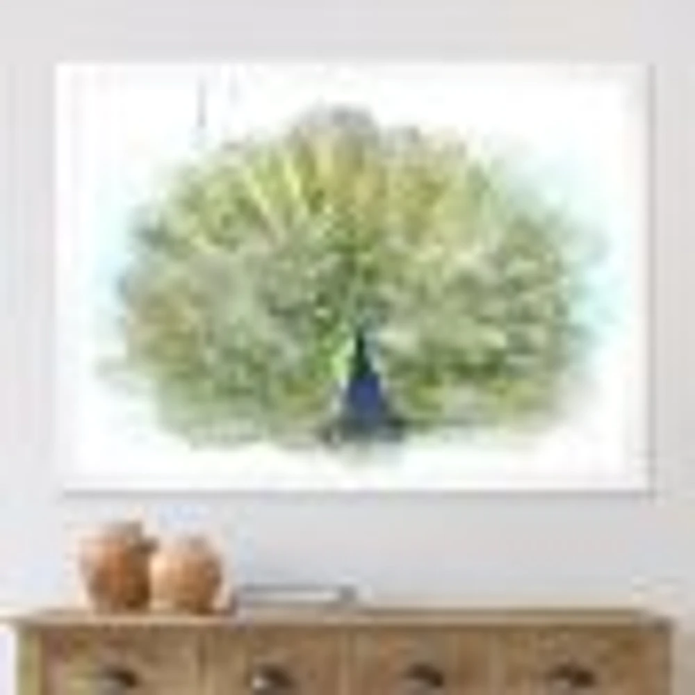 Peacock Bird  Wall Art