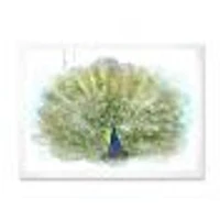 Peacock Bird  Wall Art