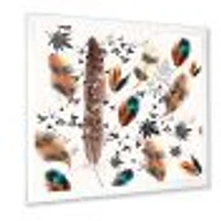 Multicolored Feather Pattern  Wall Art