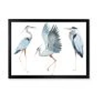 Heron Birds II  Wall Art