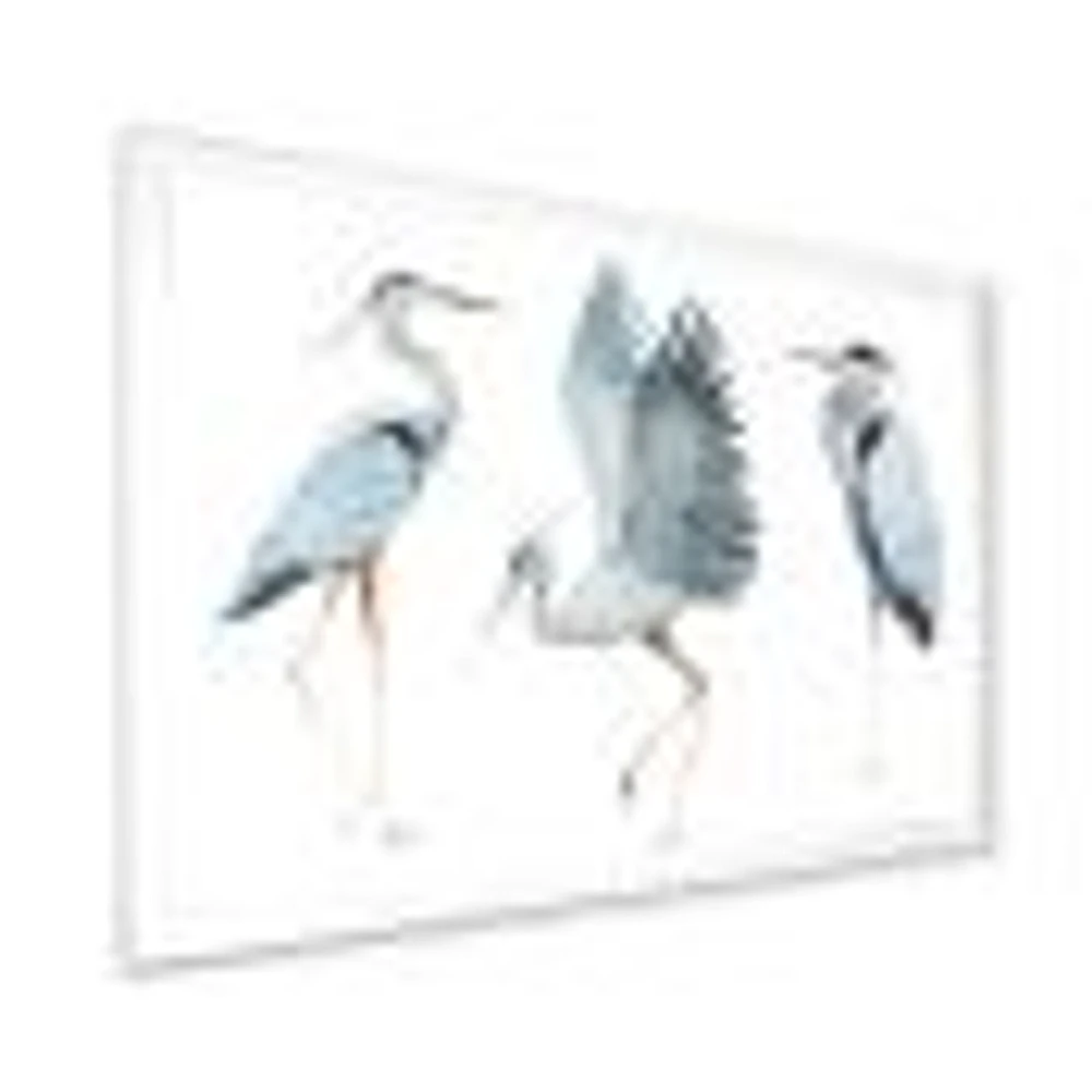 Toile « Heron Birds II