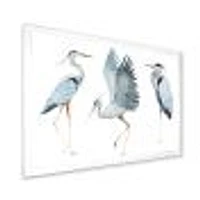 Heron Birds II  Wall Art