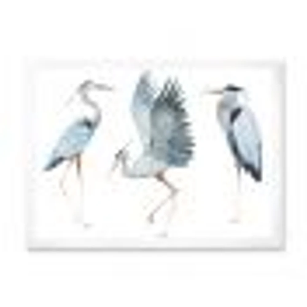 Heron Birds II  Wall Art