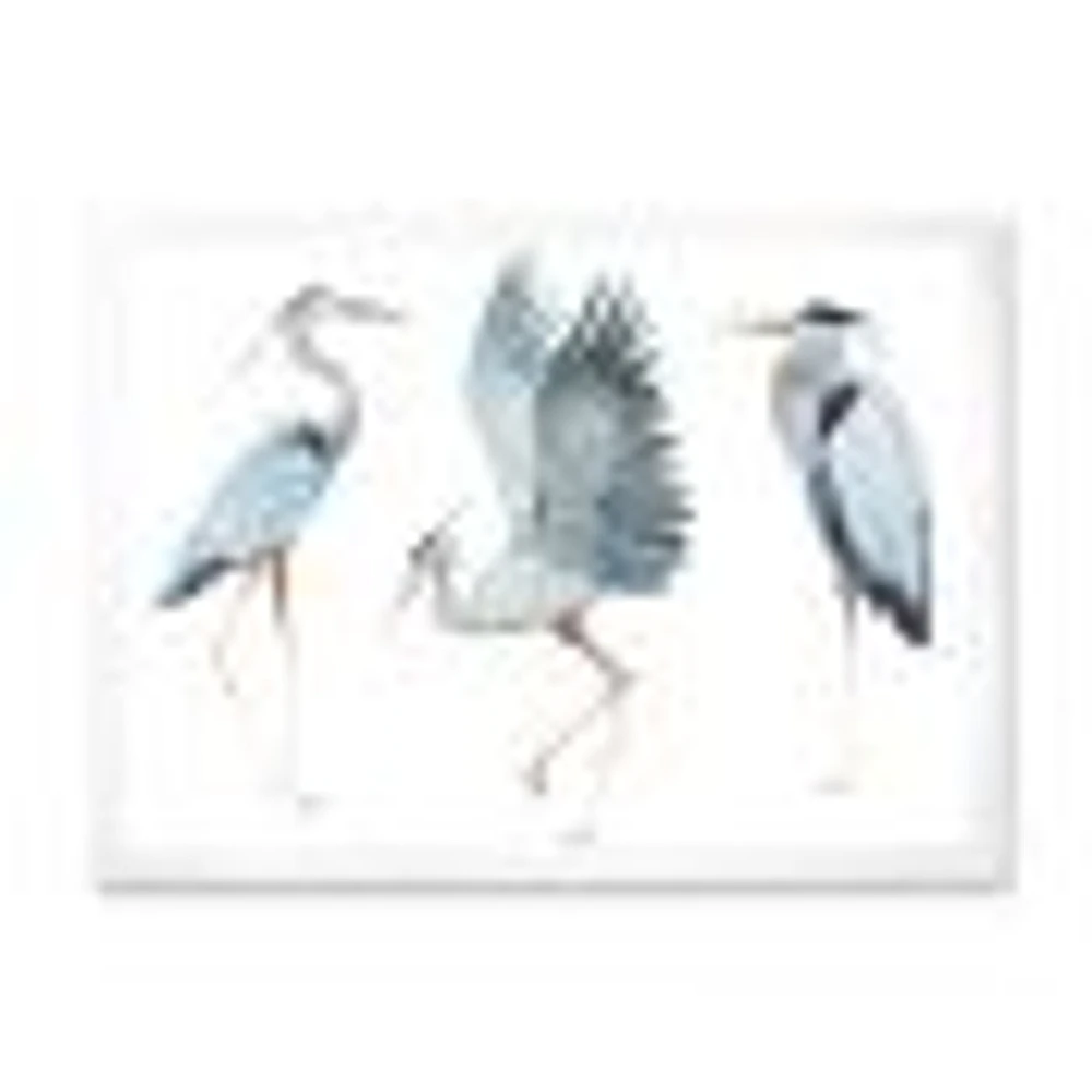 Toile « Heron Birds II