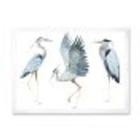 Heron Birds II  Wall Art