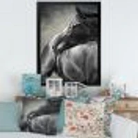 Toile imprimée « Portrait of A Black Horse »