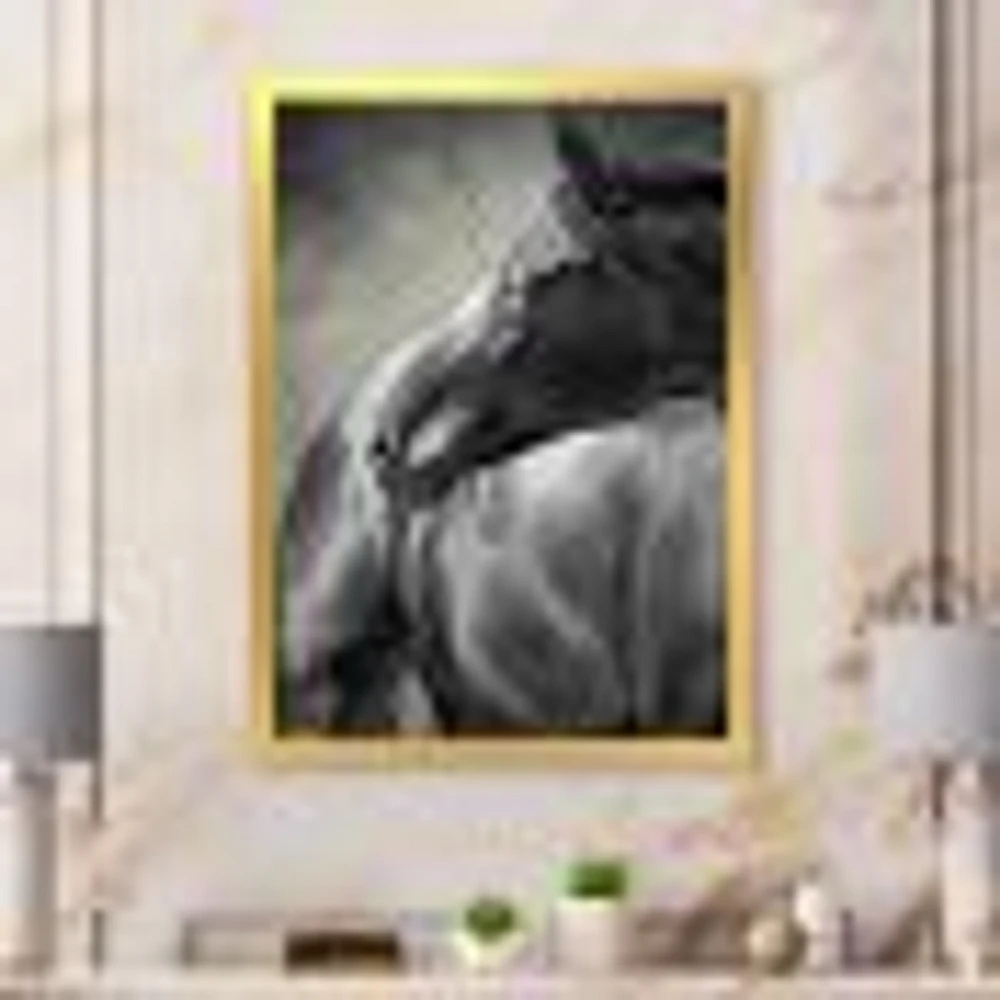 Toile imprimée « Portrait of A Black Horse »