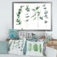 Green Eucalyptus Branches I  Canvas Wall Art Print