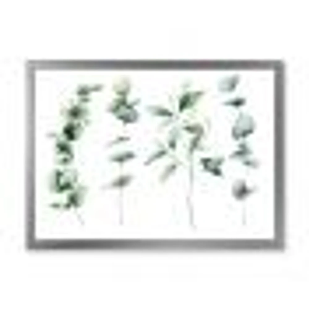 Green Eucalyptus Branches I  Canvas Wall Art Print