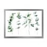 Green Eucalyptus Branches I  Canvas Wall Art Print