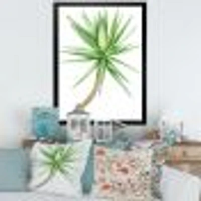 Detail of Yucca Tree  Canvas Wall Art Print