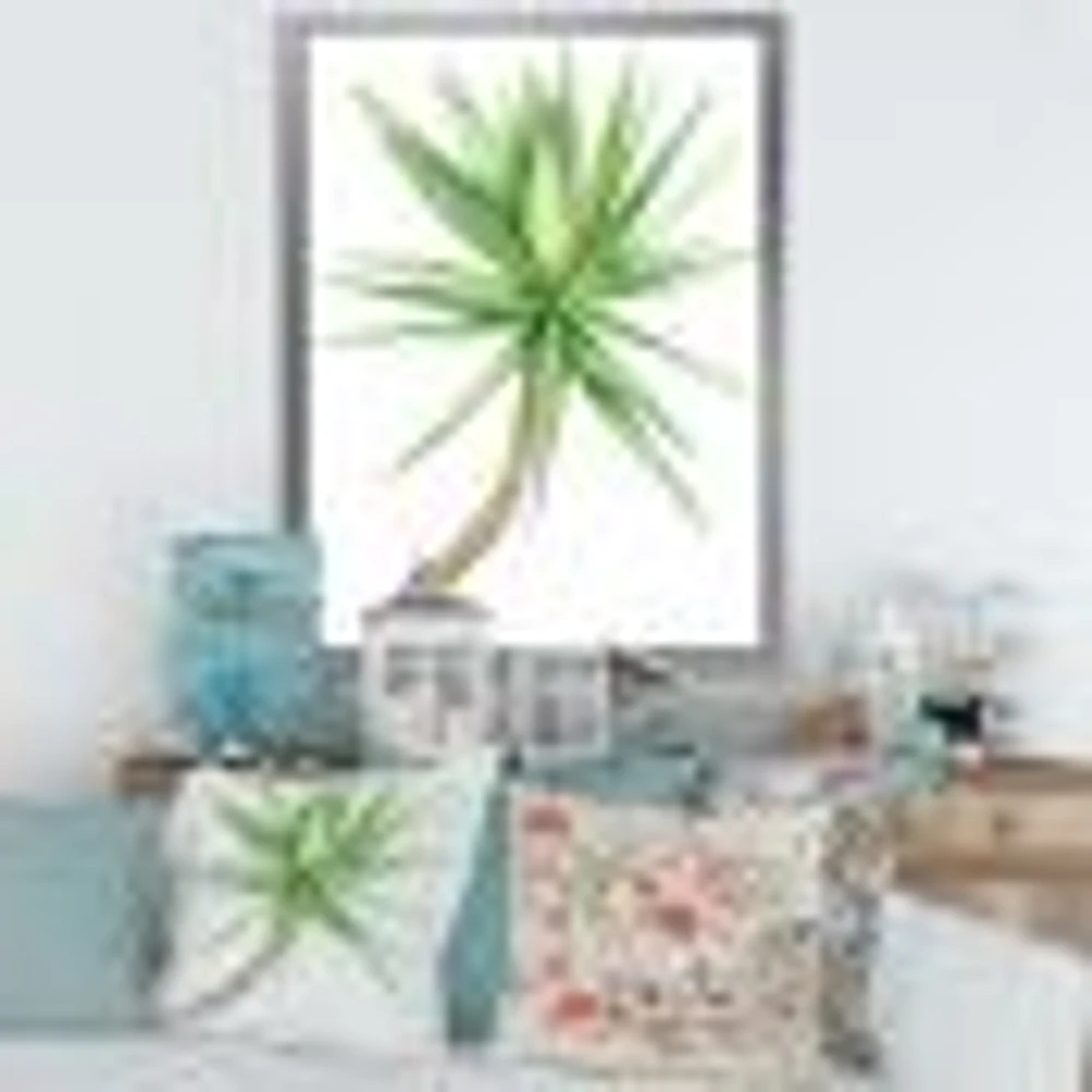 Detail of Yucca Tree  Canvas Wall Art Print