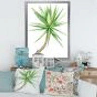 Detail of Yucca Tree  Canvas Wall Art Print