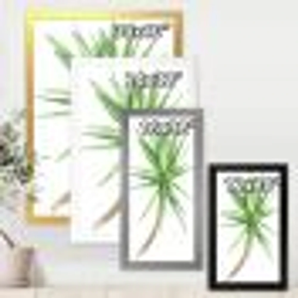 Detail of Yucca Tree  Canvas Wall Art Print